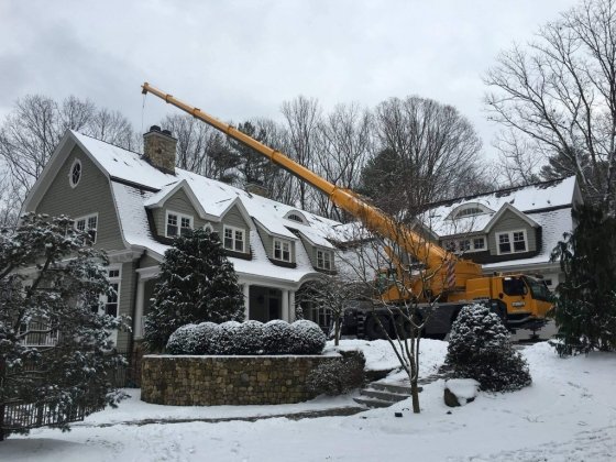 Stumpy's Tree Service