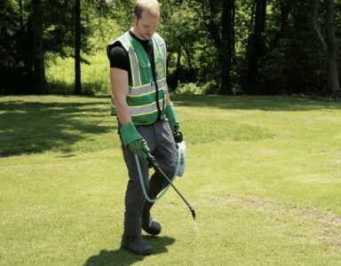 Weed Pro Lawn Care