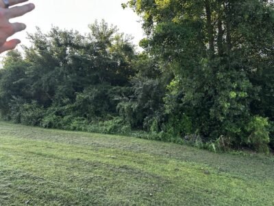 Land Clear