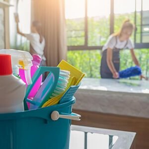 Sea Sweep Cleaning
