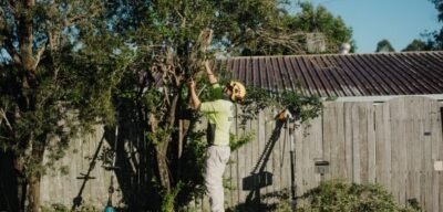 Diamond Tree Services