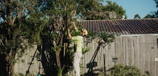 Diamond Tree Services