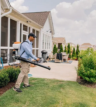 Scout Pest Control